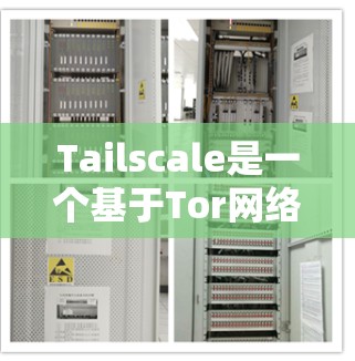 Tailscale是一个基于Tor网络的匿名虚拟网络工具，旨在为用户提供高度隐私和安全的通信环境。以下是对Tailscale的详细分析和总结
