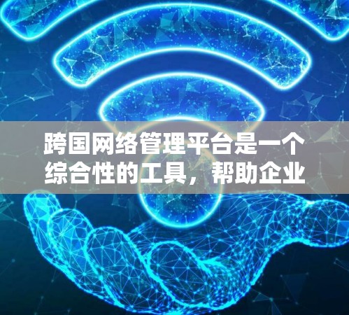 跨国网络管理平台是一个综合性的工具，帮助企业管理其分布式的全球网络资源。以下是对该平台的详细分析和总结