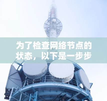 为了检查网络节点的状态，以下是一步步的指南