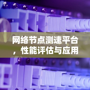 网络<strong>节点测速</strong>平台,性能评估与应用探讨