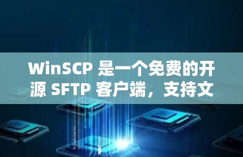 WinSCP 是一个免费的开源 SFTP 客户端，支持文件传输和远程管理。你可以通过以下步骤下载 WinSCP