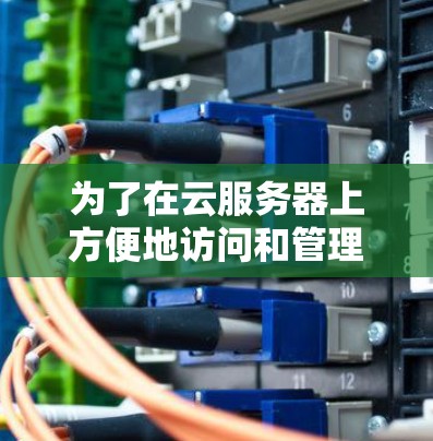 为了在云服务器上方便地访问和管理软件，可以按照以下步骤进行操作