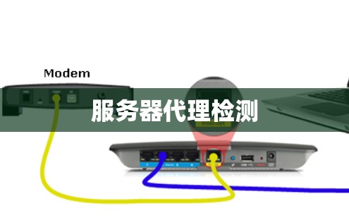 服务器代理检测