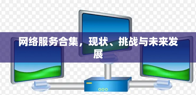 网络服务合集,现状、挑战与未来发展 网络服务合集,现状、挑战与未来发展