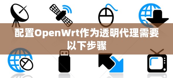 配置OpenWrt作为透明代理需要以下步骤