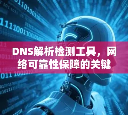 DNS解析检测工具,网络可靠性保障的关键技术 DNS解析检测工具,网络可靠性保障的关键技术