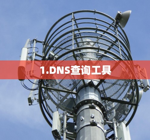 1.DNS查询工具
