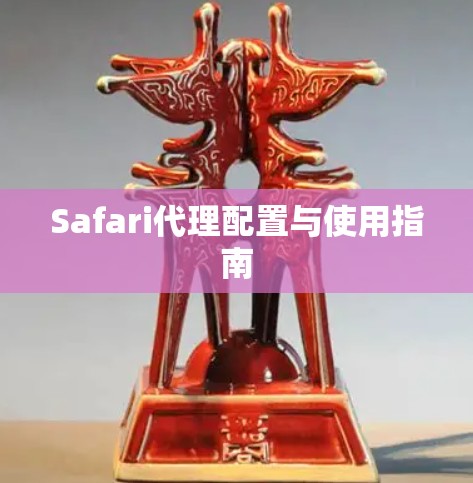 Safari代理配置与使用指南