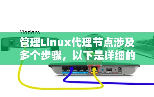 管理Linux代理节点涉及多个步骤，以下是详细的分步骤指南