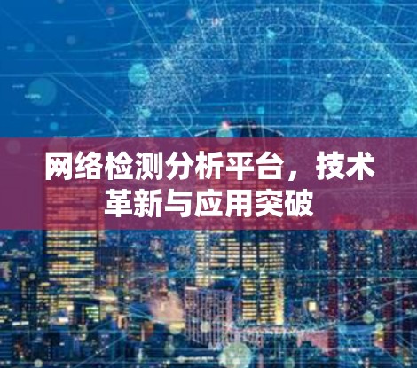 网络检测分析平台,技术革新与应用突破 网络检测分析平台,技术革新与应用突破