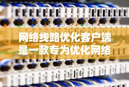 网络线路优化客户端是一款专为优化网络性能设计的软件,旨在帮助用户提升网络连接的速度、稳定性和效率。以下是对该客户端的详细分析和总结 网络线路优化客户端是一款专为优化网络性能设计的软件,旨在帮助用户提升网络连接的速度、稳定性和效率。以下是对该客户端的详细分析和总结