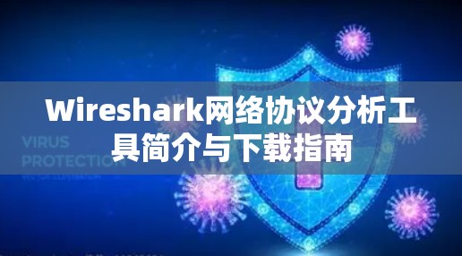 Wireshark网络协议分析工具简介与下载指南