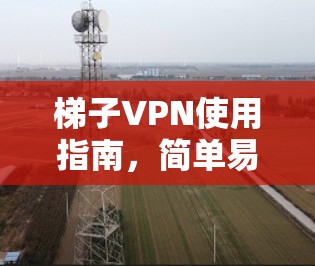 梯子VPN使用指南，简单易懂的网络安全解决方案