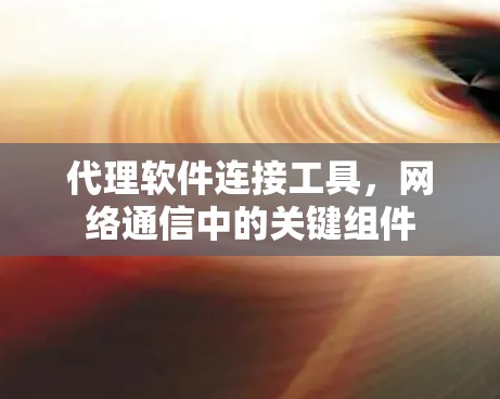 代理软件连接工具，网络通信中的关键组件