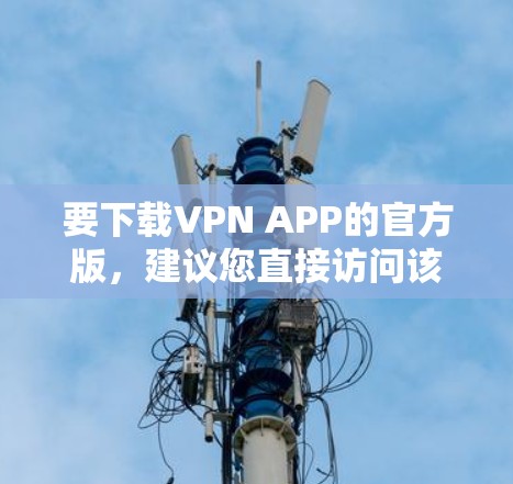 要下载VPN APP的官方版，建议您直接访问该VPN服务的官方网站，或者通过官方指定的应用商店获取。以下是一些常见的VPN服务提供商及其下载途径