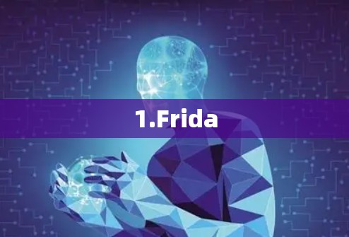 1.Frida