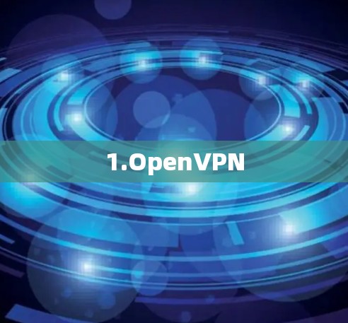 1.OpenVPN