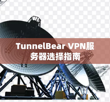TunnelBear VPN服务器选择指南 TunnelBear VPN服务器选择指南