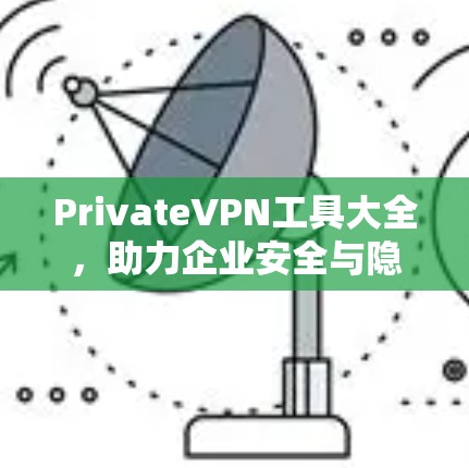 PrivateVPN工具大全，助力企业安全与隐私保护