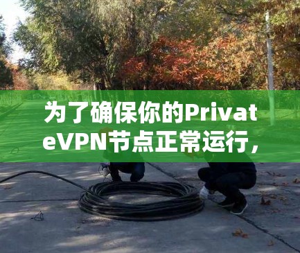为了确保你的PrivateVPN节点正常运行，可以按照以下步骤进行检测
