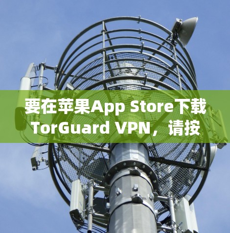 要在苹果App Store下载TorGuard VPN，请按照以下步骤操作