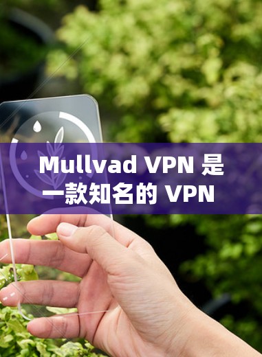 Mullvad VPN 是一款知名的 VPN 服务提供商，其电脑软件提供了安全、隐私保护和高效的网络连接体验。以下是关于 Mullvad VPN 电脑软件的详细介绍和使用指南