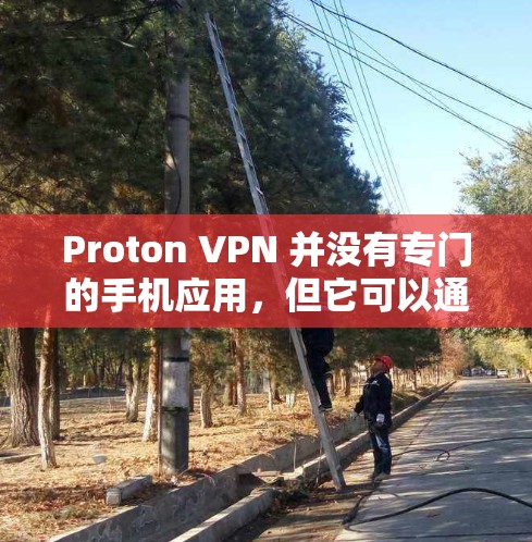 Proton VPN 并没有专门的手机应用，但它可以通过浏览器或其他方式在手机上使用。以下是一些相关信息和替代方案