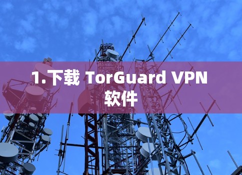 1.下载 TorGuard VPN 软件