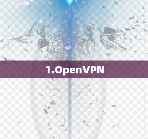 1.OpenVPN