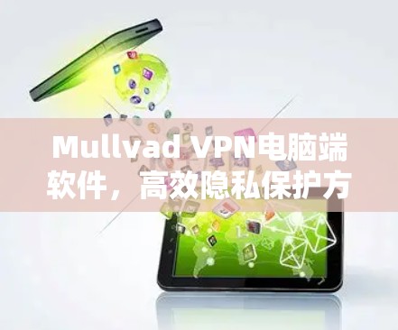 Mullvad VPN电脑端软件，高效隐私保护方案评测