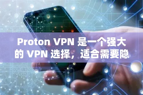 Proton VPN 是一个强大的 VPN 选择，适合需要隐私和安全保护的用户。以下是对其详细的分析和总结