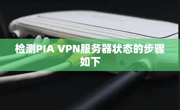 检测PIA VPN服务器状态的步骤如下 检测PIA VPN服务器状态的步骤如下