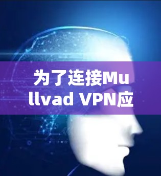 为了连接Mullvad VPN应用程序，请按照以下步骤操作