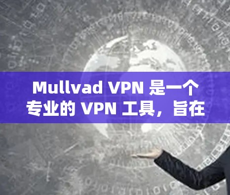 Mullvad VPN 是一个专业的 VPN 工具,旨在为用户提供高效、安全的网络连接服务。以下是对 Mullvad VPN 的详细评测