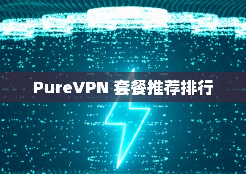 PureVPN 套餐推荐排行