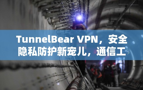 TunnelBear VPN，安全隐私防护新宠儿，通信工程师推荐