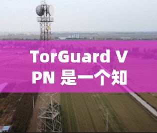 TorGuard VPN 是一个知名的 VPN 服务提供商，已知可靠且提供安全的匿名网络连接。以下是关于如何下载 TorGuard VPN 的详细指南