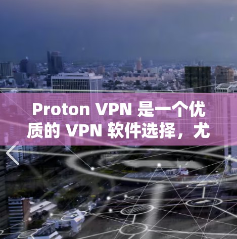 Proton VPN 是一个优质的 VPN 软件选择，尤其在隐私保护方面表现突出。以下是对其的详细分析和总结