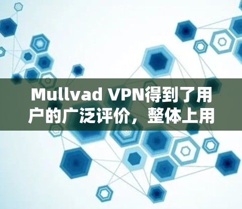 Mullvad VPN得到了用户的广泛评价，整体上用户对其隐私保护和安全性给予高度评价。以下是对Mullvad VPN的详细分析