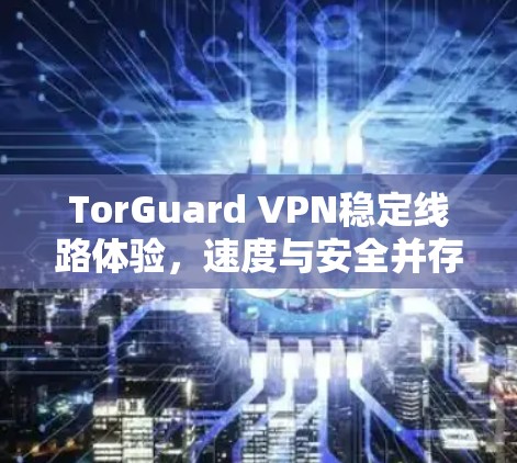 TorGuard VPN稳定线路体验,速度与安全并存的最佳选择 TorGuard VPN稳定线路体验,速度与安全并存的最佳选择