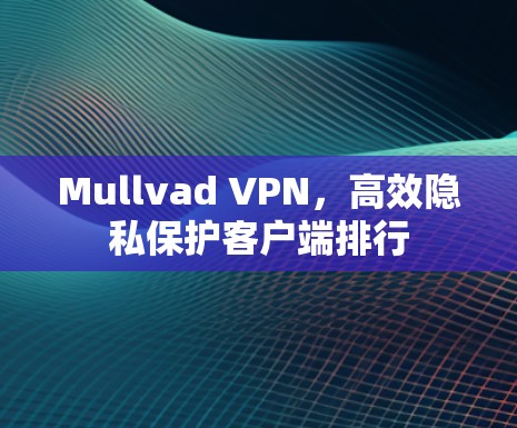 Mullvad VPN,高效隐私保护客户端排行