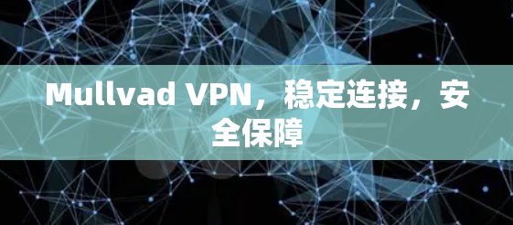Mullvad VPN,稳定连接,安全保障 Mullvad VPN,稳定连接,安全保障
