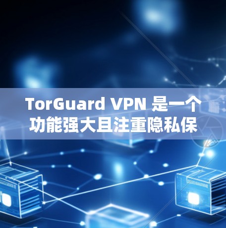 TorGuard VPN 是一个功能强大且注重隐私保护的VPN服务，适合需要安全连接的用户。以下是对其的详细分析