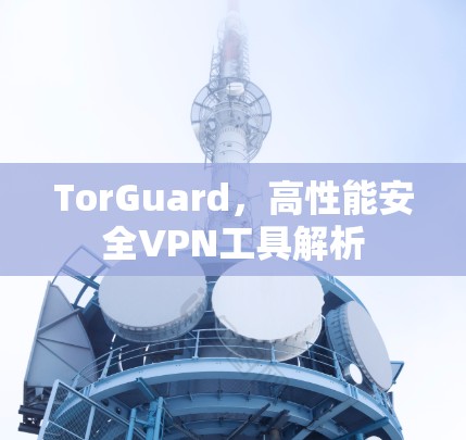 TorGuard，高性能安全VPN工具解析